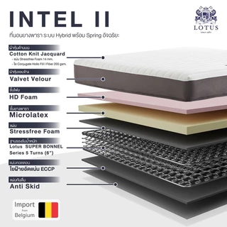 LOTUS ที่นอนยางพาราแท้ นอนสบายไม่ยวบ ลดการปวดเมื่อย นำเข้าจากเบลเยี่ยม รุ่น Intel