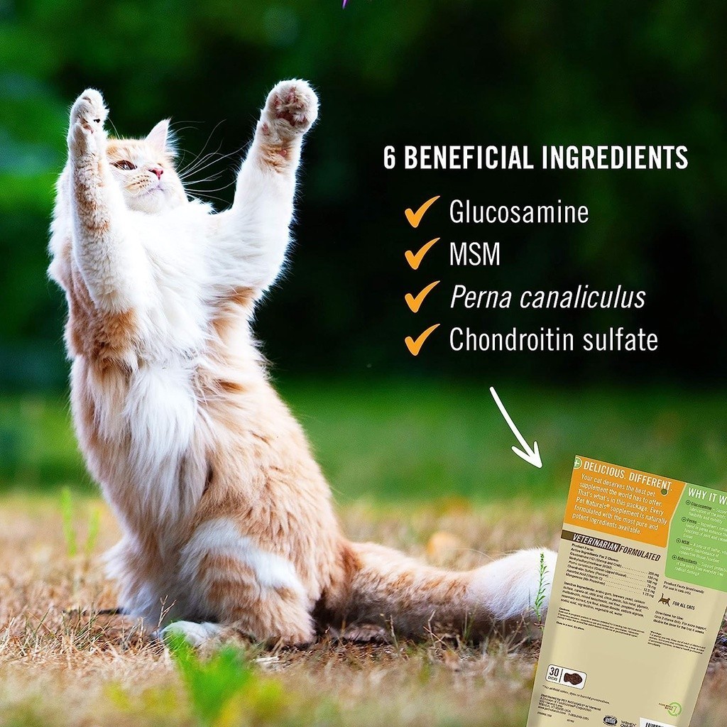 Hip Joint ข้อ เข่า 30ชิ้น ขา กะเผลก กระดูก เสริม บำรุง สะโพก เสื่อม ลุกไม่ขึ้น เจ็บ ปวด วิตามิน ขนม แมว Cat Pet Naturals - รูปที่ 3