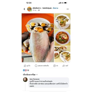 สลิดติดปาก กุนเชียงปลาสลิด กุนเชียง ปลาสลิดบางบ่อ 7 ชิ้นต่อ 1 แพ็ค เนื้อปลาเน้น ๆ ไม่คาว หอมมันทุกคำ
