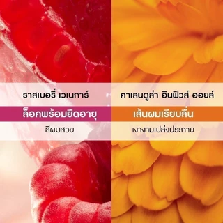 อีฟ โรเช Yves Rocher Color Protective Conditioner 200 มล. ครีมนวดผมทำสี - จบปัญหาสีผมเฟด ยืดอายุผมทำสีให้ไชน์ทุกสีผม