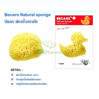 ฟองน้ำ ลูกเจี๊ยบ Becare ของแท้ 100% (ราคาส่ง 12 ชิ้นขึ้นไป) ฟองน้ำลูกเจี๊ยบ ฟองน้ำแท้ 1 ชิ้น