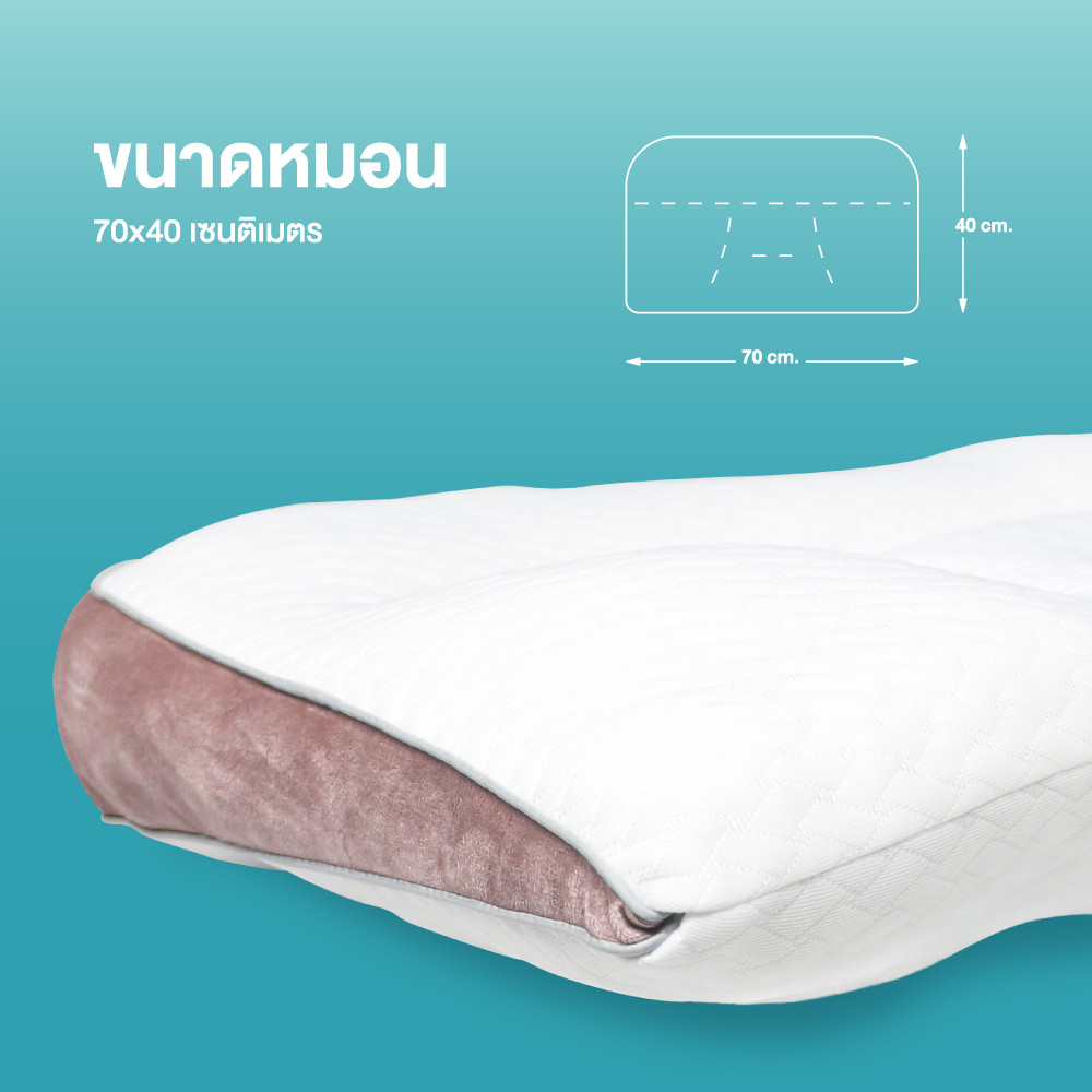 MIDORI Home หมอนสุขภาพจัดกระดูกต้นคอและสันหลัง 40X70 ซม. รูปที่ 2