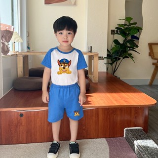 **Baby Buddy** เสื้อยืดแขนสั้น ผ้าฝ้าย 100% พิมพ์ลายการ์ตูน Paw Patrol 6 สี สําหรับเด็ก KFF009