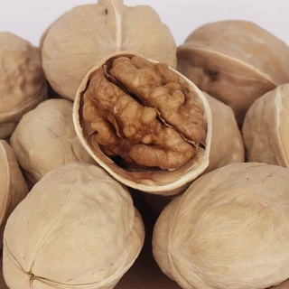 ลูกวอลนัท walnut 1-6ลูก ขนมนกแก้ว ชูการ์ แฮมสเตอร์ กระรอก สัตว์เลี้ยงฟันแทะ