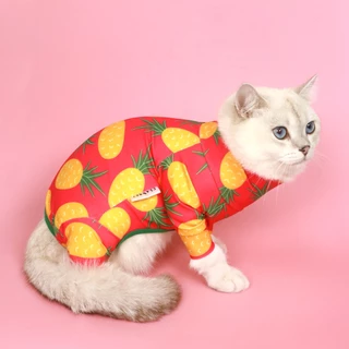 [สินค้าราคาพิเศษ] ชุดกันขนร่วง ลายผลไม้ มะม่วง ส้ม สัปปะรด มังคุด Clawset Fruity Collection