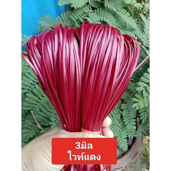 เส้นหวายเทียมขนาด 3 มิล ถักจูงนาง สันปลาช่อน ตัวตะกร้า