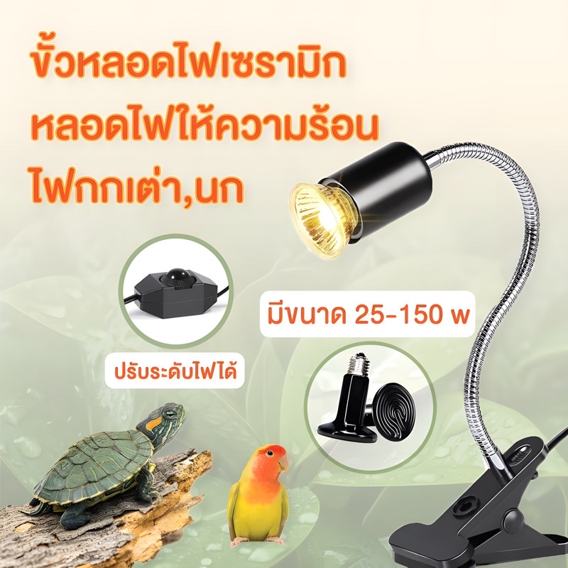 อุปกรณ์เลี้ยงเต่า ขั้วหลอดไฟเซรามิก กกไฟ ไฟกกเต่า ไฟกกลูกนก ไฟกกลูกไก่ ให้ความอบอุ่นเต่าบก หลอดความร