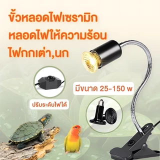 อุปกรณ์เลี้ยงเต่า ขั้วหลอดไฟเซรามิก กกไฟ ไฟกกเต่า ไฟกกลูกนก ไฟกกลูกไก่ ให้ความอบอุ่นเต่าบก หลอดความร้อน UVA 25-150w