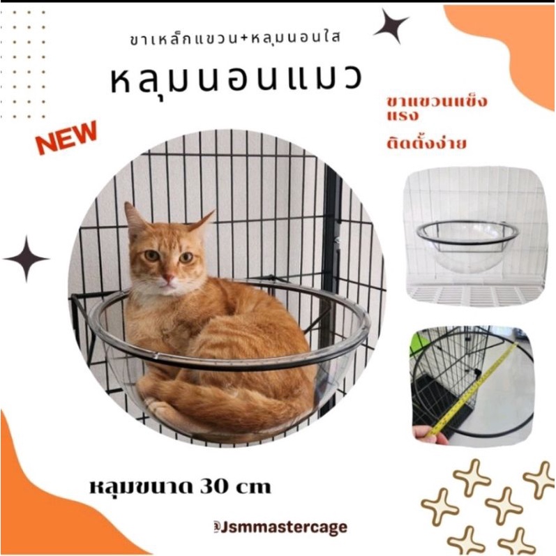 หลุมอวกาศ ติดในกรง ขาแขวนหลุมอวกาศ ที่นอนแมว ชัันอนแมว