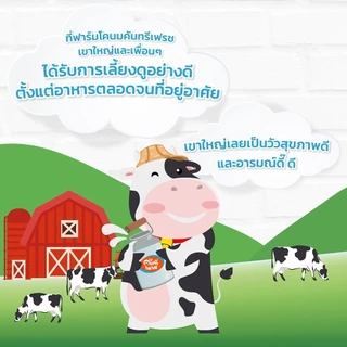 Country Fresh นมช็อกโกแลตยูเอชที นมกล่องพร้อมดื่ม ขนาด 225 มล. (36 กล่อง/ขายยกลัง) [ CCO-225-CARTON ]