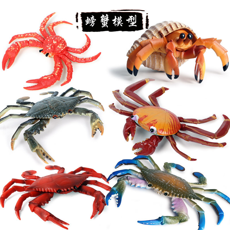 Simulation Animal Model Marine Crab Sally Crab Hermit Crab Portunid Points Crab Plastic Model Cognit
