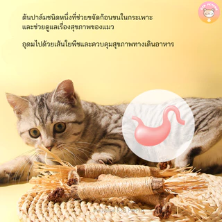 แท่งปาล์มทำความสะอาดฟัน ขัดฟันแมว ของเล่นแมว B057