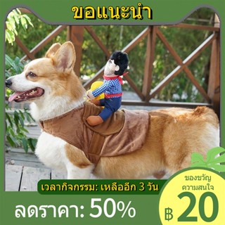 ▪สุนัขขี่ม้าแล้วกลายเป็นสัตว์เลี้ยงตลกคาวบอยอัศวิน Corgi เท็ดดี้ตลกชิบะอินุเสื้อผ้าสุนัขสร้างสรรค์