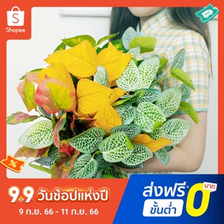 ต้นไม้ปลอม รักษาความสดใหม่ สําหรับตกแต่งบ้าน สวน