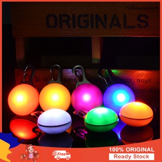 ใหม่ปลอกคอสุนัขมีไฟ Led เรืองแสงสําหรับสุนัข