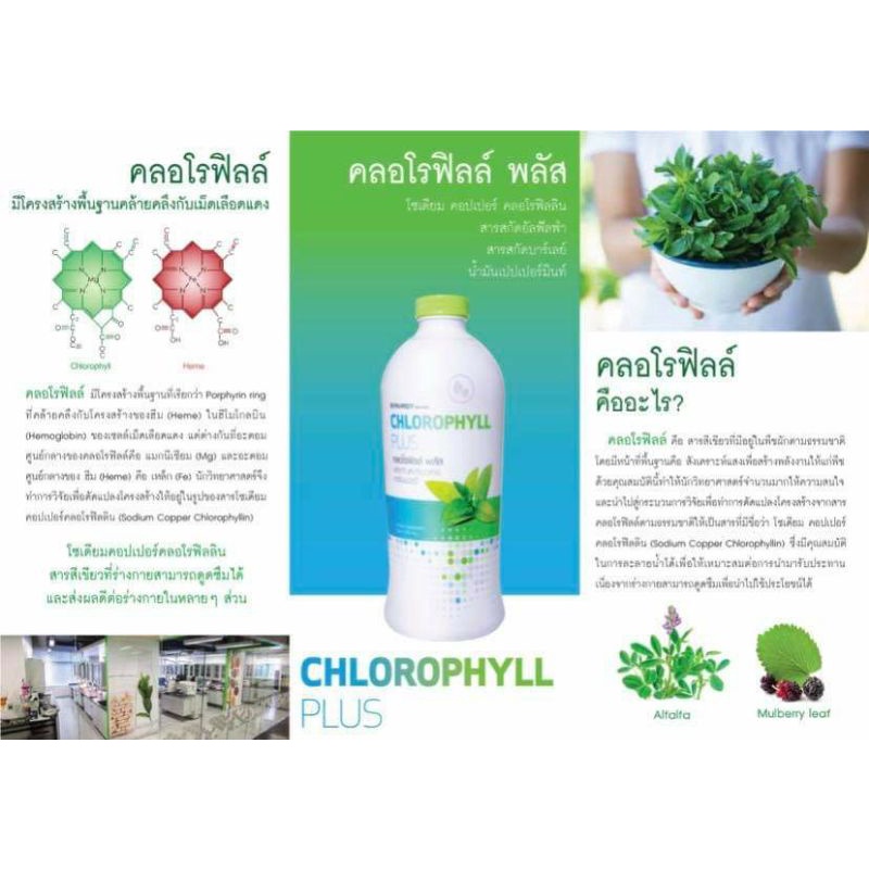 ผลิตภัณฑ์เสริมอาหารชนิดน้ำคลอโรฟิลล์เข้มข้น  CHLOROPHYLL PLUS