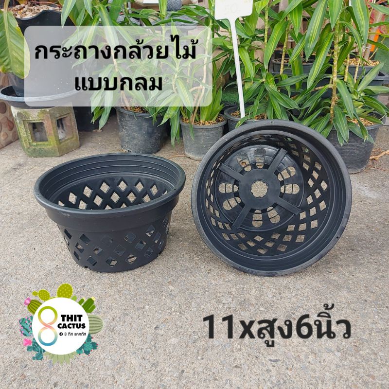 !!!+5% กระถางกล้วยไม้ แบบกลม 11x6นิ้ว // พลาสติก เกษตร ต้นไม้ สวน ดอกไม้