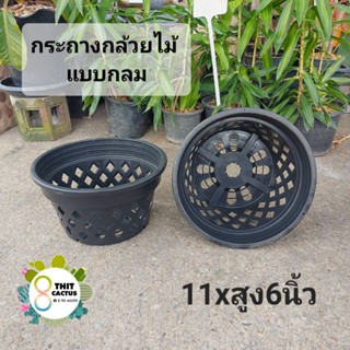 กระถางกล้วยไม้ แบบกลม 11x6นิ้ว // กด 12 ชิ้น 150฿ -- กระถางพลาสติก กระถางเกษตร