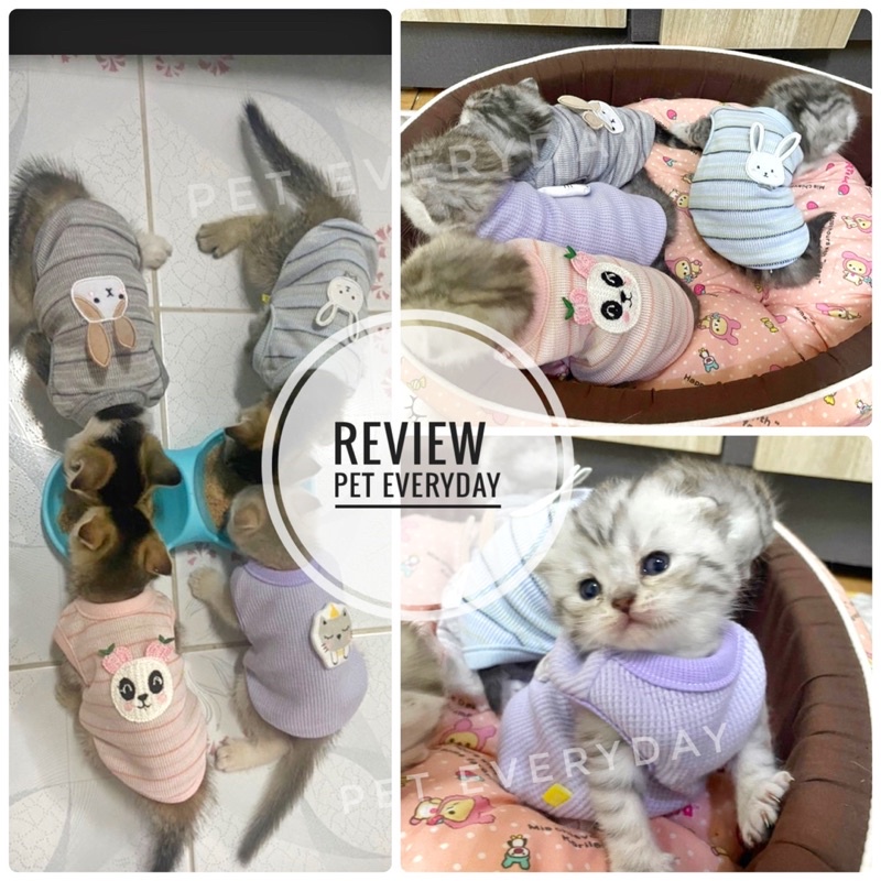 🔥ส่งฟรี 🇹🇭🔥เสื้อสัตว์เลี้ยงแรกเกิด ชุดลูกแมว สัตว์ขนาดเล็ก - รูปที่ 3