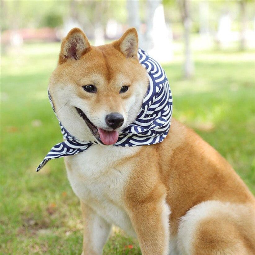 พร้อมส่ง! ปลอกคอหมา ผ้าพันคอสุนัข สไตล์ญี่ปุ่น พันธุ์เล็ก-ใหญ่ มีหลายลาย | Clawset BKK | BP1036