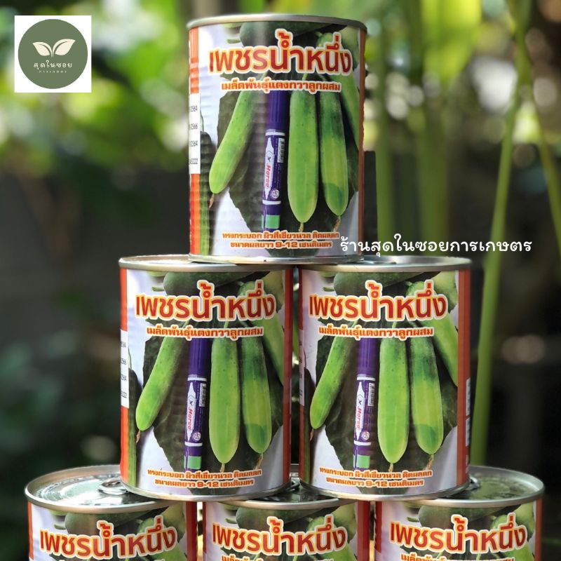 แตงกวาเพชรน้ำหนึ่ง📣แตงกวาลูกผสมผลดกขนาด 100 กรัมสินค้าใหม่ล่าสุด