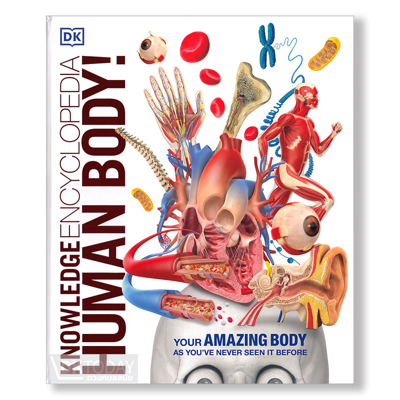 DKTODAY หนังสือ KNOWLEDGE ENCYCLOPEDIA HUMAN BODY (DORLING KINDERSLEY)