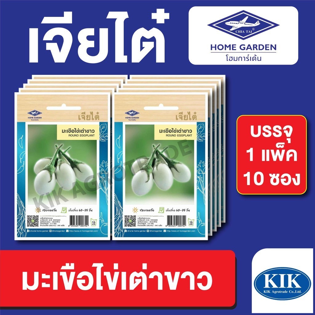 เมล็ดพันธุ์ ผักซอง มะเขือไข่เต่าขาว ตราเจียไต๋ CT15 บรรจุ แพ็คละ 10 ซอง