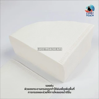 CAFEC Abaca Paper Filter [Cone Shape] White/Brown สินค้าของแท้จากญี่ปุ่น