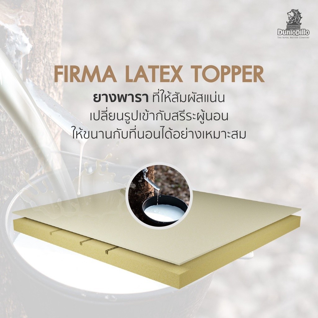 [ฟรี!ชุดผ้าปู] Dunlo