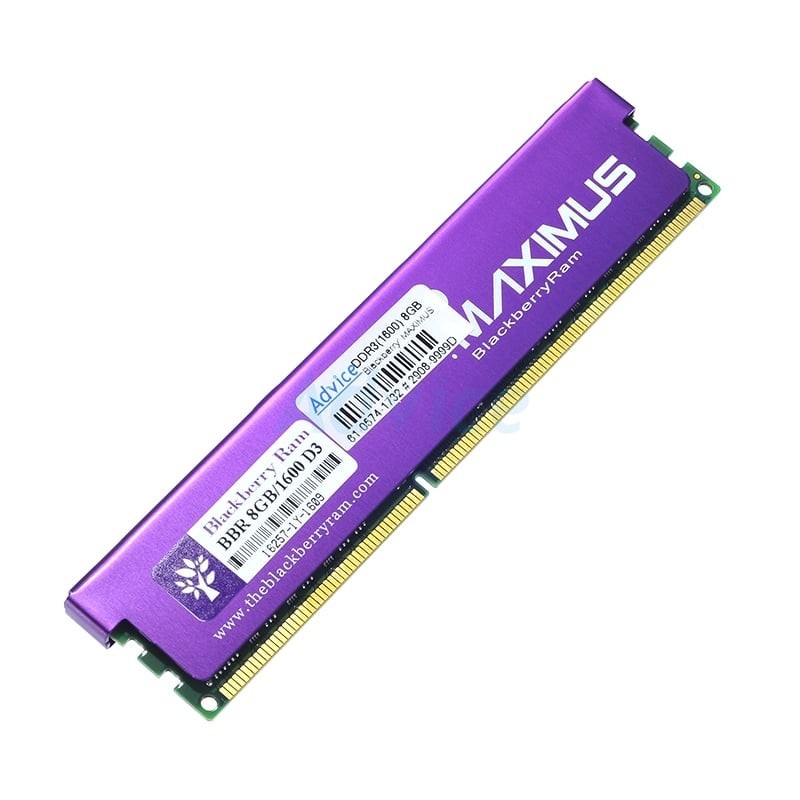 BLACKBERRY RAM DDR3(1600) 8GB MAXIMUS 16 CHIP - A0073743
