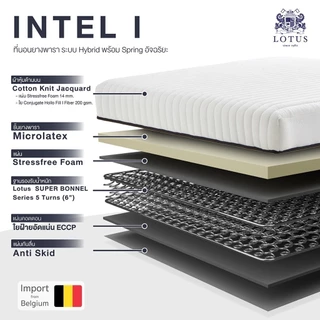 LOTUS ที่นอนยางพาราแท้ นอนสบายไม่ยวบ ลดการปวดเมื่อย นำเข้าจากเบลเยี่ยม รุ่น Intel