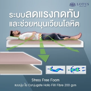 LOTUS รุ่น Precise I ที่นอนอันดับ 1 ของคนชอบนอนแน่นสบาย ลดอาการปวดหลัง บอกลาปัญหาภูมิแพ้