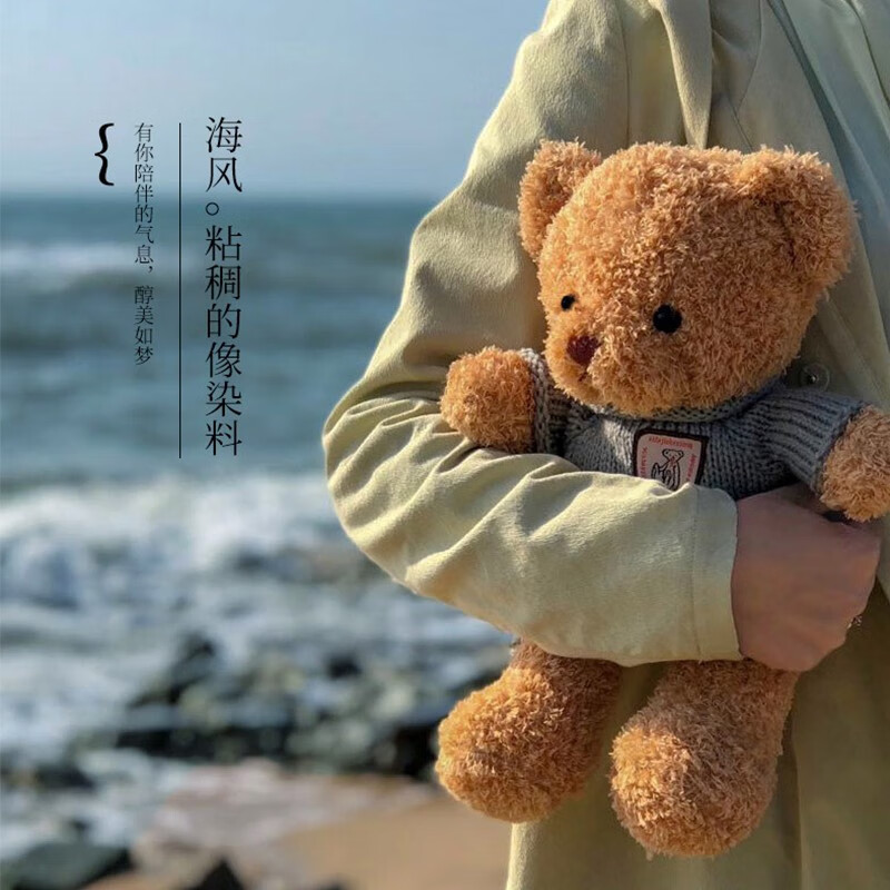 Huhoo Bear Gift Box Teddy Panda Plush Toy Doll Bear Doll Ragdoll Sleeping Pillow for Girl