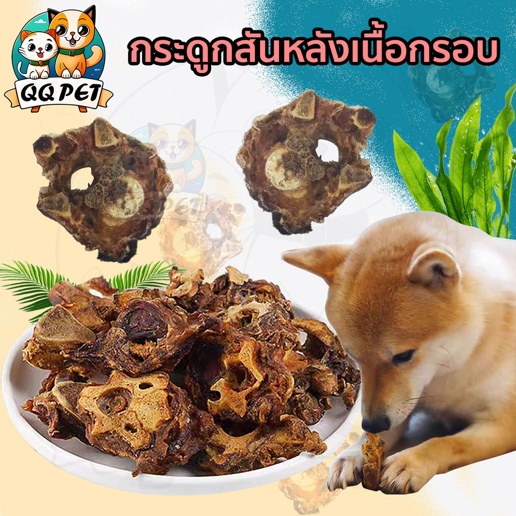 QQPET ขนมหมา กระดูกสุนัขแทะ กระดูกลูกสุนัข กระดูกขัดฟัน ขนมสำหรับสุนัขทุกสายพันธุ์