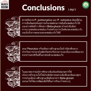 Munchroom เห็ดนางฟ้า (3 ถุง) โอ้โห โคตรจะเฮลตี้ บริโภคแบบไม่รู้สึกผิด เห็ดอบกรอบ ไม่ทอด ไม่แป้ง แคลต่ำ