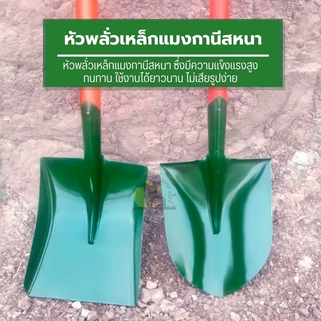 พลั่วทหาร พลั่วเกษตรขนาดใหญ่ thumbnail 4