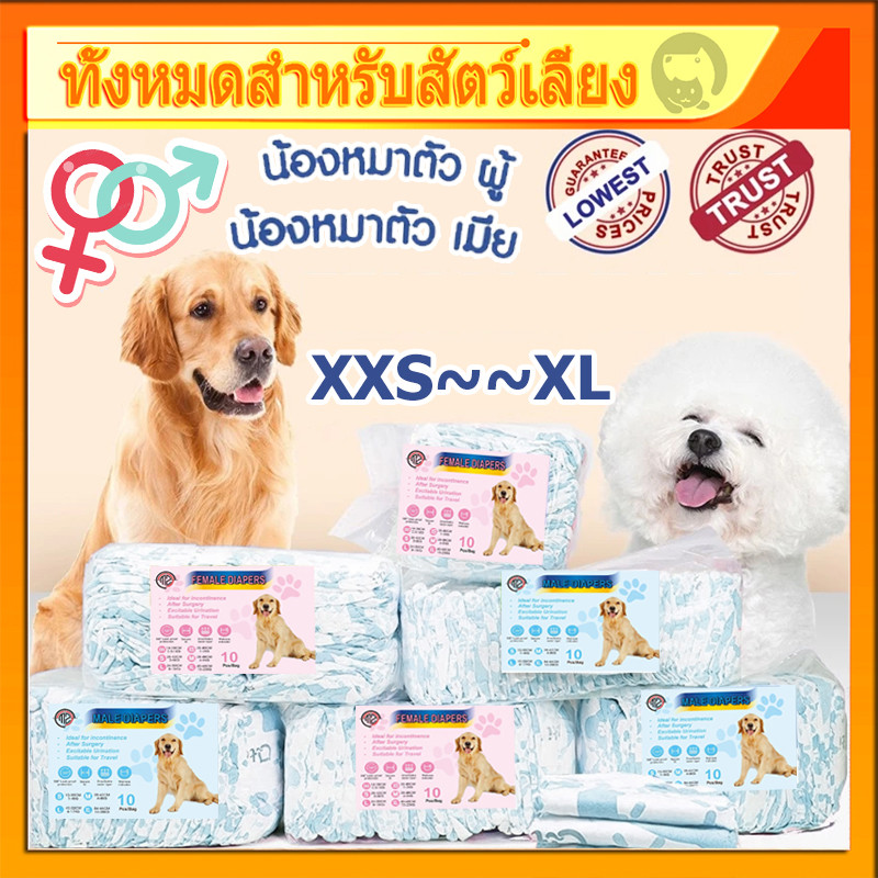 Thai🚛ผ้าอ้อมสุนัขเพศผู้ ผ้าอ้อมสุนัขเพศชาย ผ้าอ้อม สำหรับสุนัขและแมว ผ้าอ้อมน้องหมา ผ้าอ้อมสุนัข เพศเม แบบใช้แล้วทิ้ง