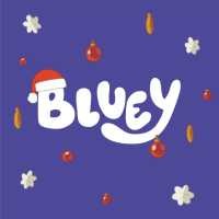 Bluey: Christmas Swim (Bluey) [Paperback]