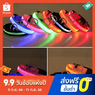 ปลอกคอสุนัข ไนล่อน Led ปรับได้ กันฝน