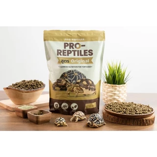 อาหารเต่าบก Pro-Reptiles กินง่าย มีไฟเบอร์สูง เหมาะสำหรับเต่าบกทุกสายพันธุ์ สูตรPremium สูตรOriginal