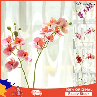 [ขายดี]❀ กล้วยไม้ประดิษฐ์ พลาสติก พิมพ์ลาย 3D สําหรับตกแต่งบ้าน ข้างเตียง สํานักงาน