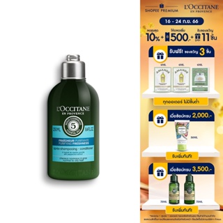 LOccitane Purifying Freshness Conditioner 250ml ล็อกซิทาน ครีมนวดผม สูตรสำหรับหนังศีรษะและผมมัน 250 มล.