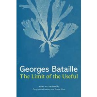 The Limit of the Useful [Hardcover]