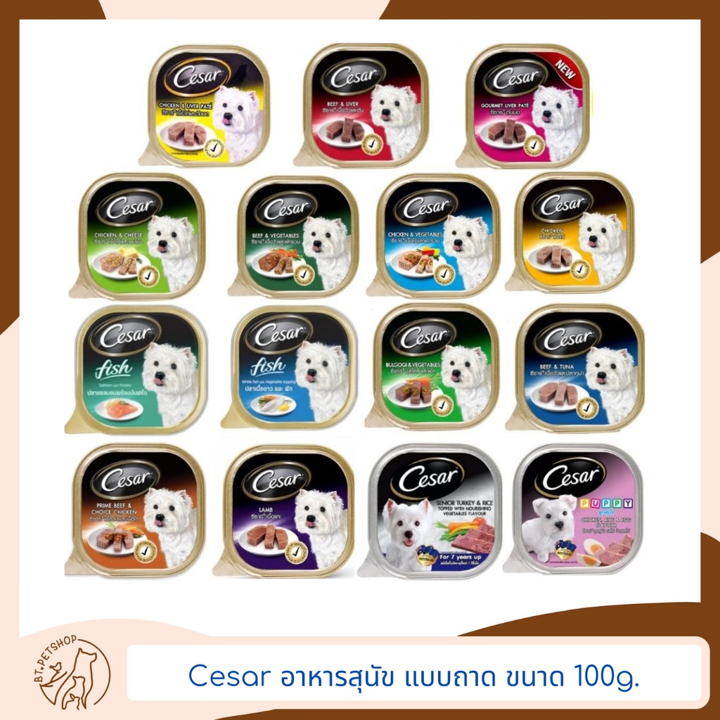 Cesar อาหารสุนัข แบบถาดขนาด 100g