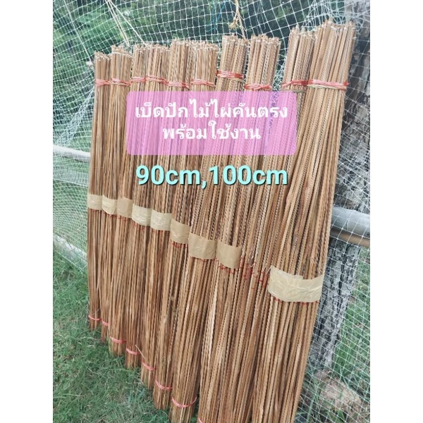 เบ็ดปักไม้ไผ่แบบคันตรงพร้อมใช้งาน ยาว90cm,100cm