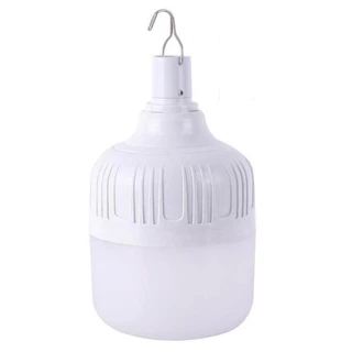 Philips Lighting SP010P LED7/765 โคมไฟติดแขวน โซล่า SP010