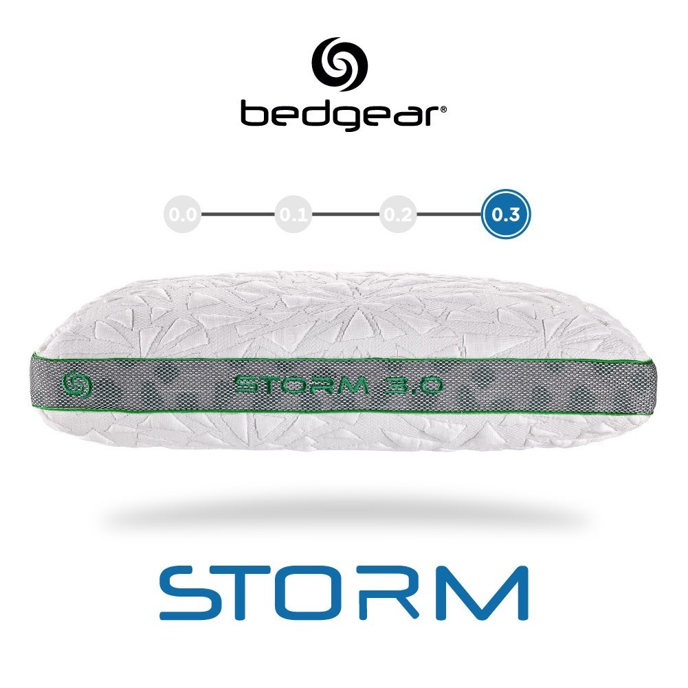 Bedgear หมอนหนุน รุ่น Storm 3.0 ส่งฟรี