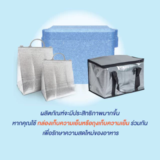 ไดโซ กล่องเจลทำความเย็น ขนาด 350 กรัม