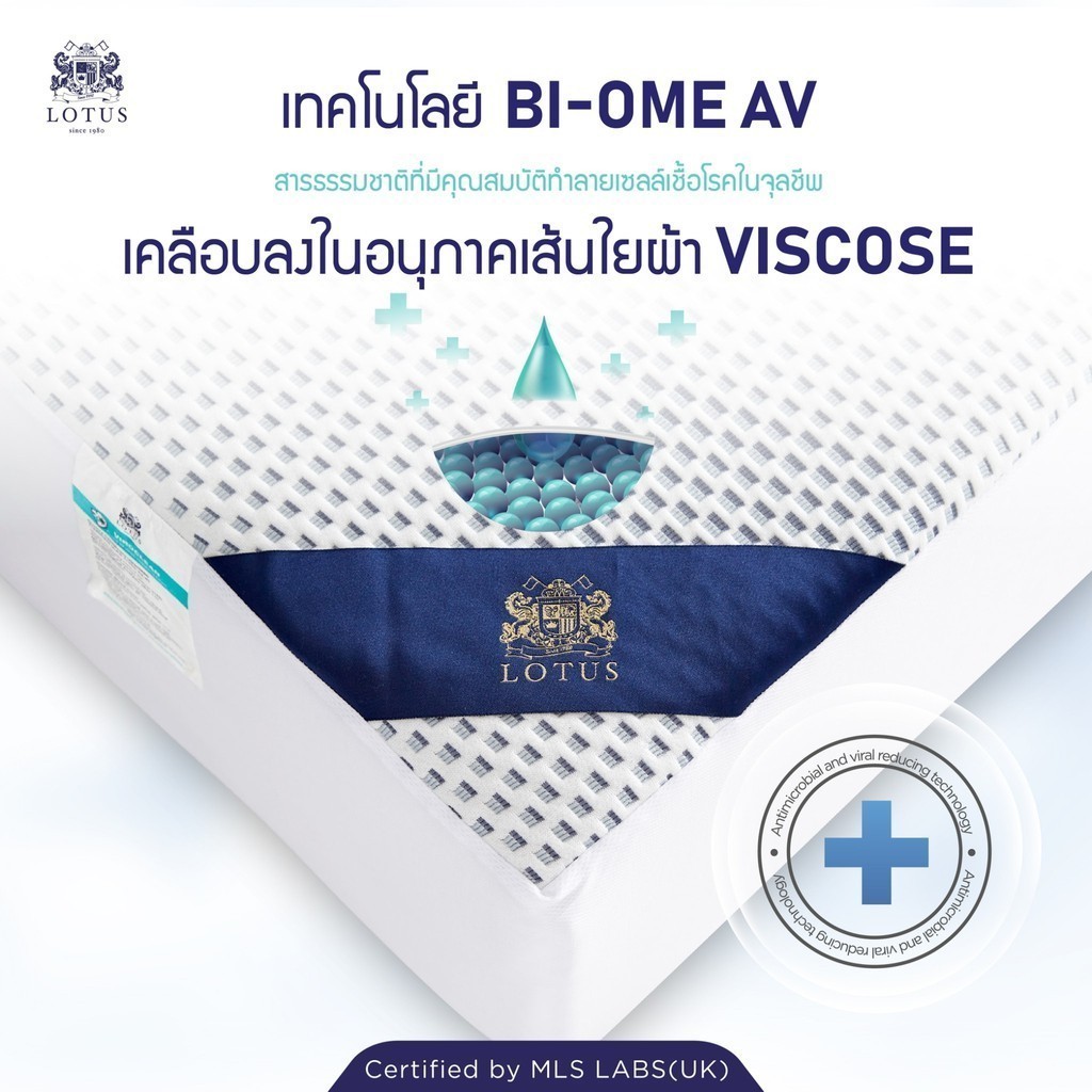 LOTUS ผ้ารองกันเปื้อนกันไวรัส ViroClean ส่งฟรี