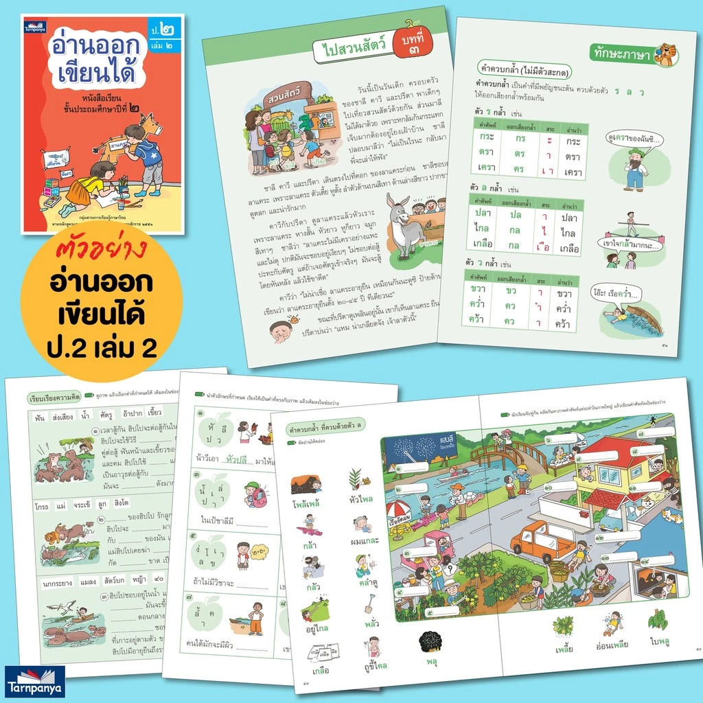 หนังสือเด็ก อ่านออกเขียนได้ แบบฝึกอ่านเขียนภาษาไทย ระดับอนุบาล ป1 ป2 ป3 ธารปัญญา thumbnail 8